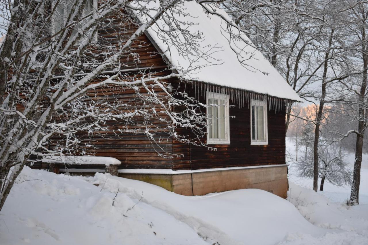 Joeniidu Holiday House Trolla Buitenkant foto
