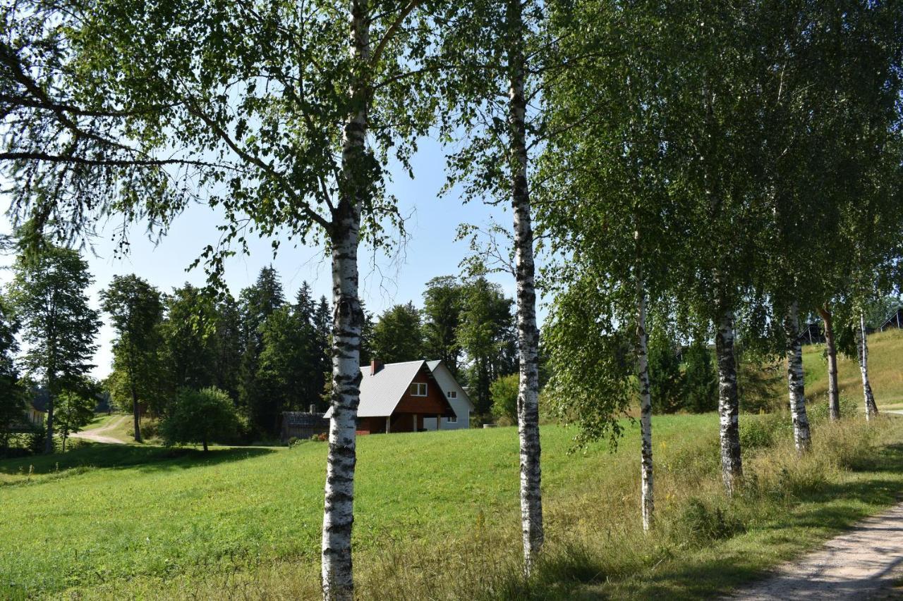 Joeniidu Holiday House Trolla Buitenkant foto